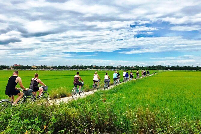 3 Hours Hoi An Countryside Bicycle Tour - Cam Chau: rice fields, photo time, and a proper coffee break
