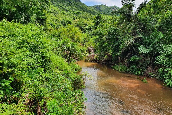 A Private Full Day Tour to My Son Sanctuary & Marble Moutains - Stop 6: Return to your hotel or Da Nang city center