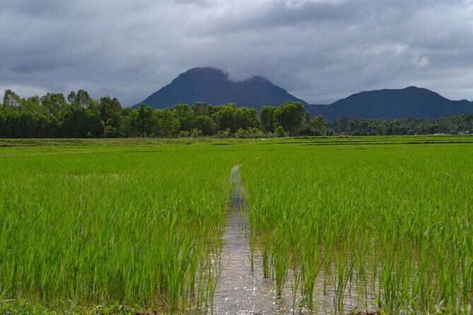 Adventure Bike Tour from Hoi An - Value for $89: why this price feels fair for what you get