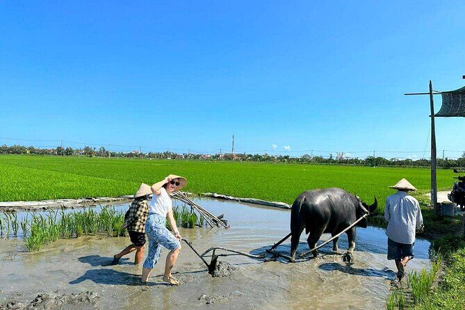 Authentic Hoi An: Explore Countryside with Locals - Entering Hoi An Countryside: The Value of a Real Half-Day