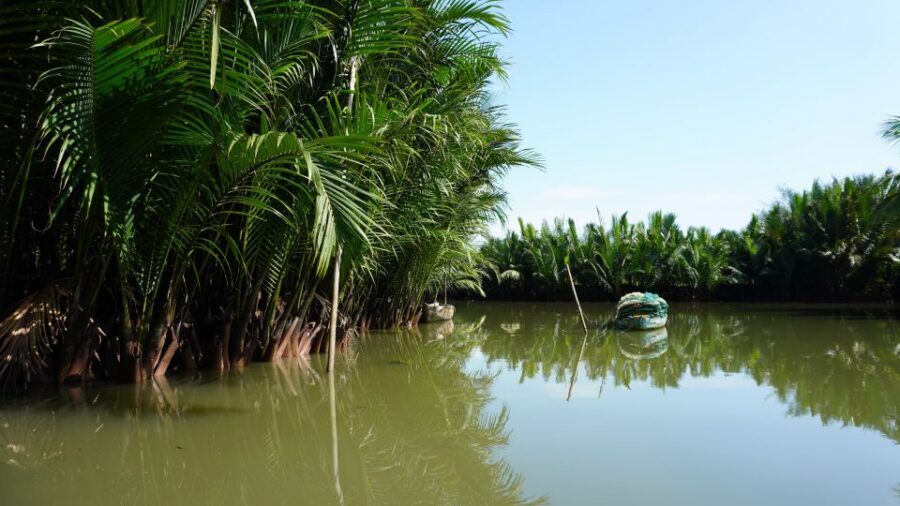 Basket Boat at Coconut Village, Kitchen Show and Big Lunch - Timing, Private Pickup, and the 3-Hour Value Equation
