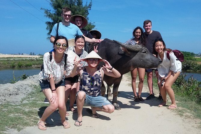 Buffalo riding and Basket Boat Half Day Tour - Price and Logistics: Why This Tour Feels Like Value