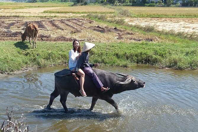 Buffalo riding and Basket Boat Half Day Tour - Should You Book This Buffalo and Basket Boat Half Day Tour?