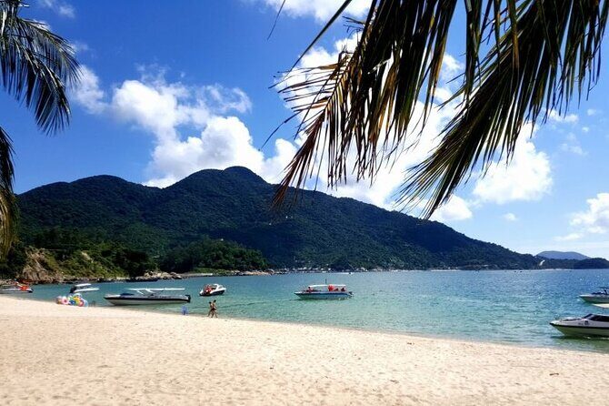 Cham Island Day Tour from Hoi An with Group tour - Ong Ngu whale temple: a standout cultural moment
