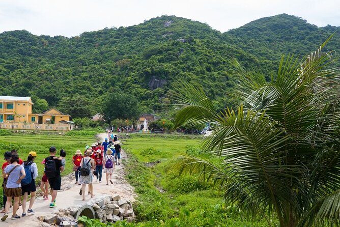 Cham Island Day Tour from Hoi An with Group tour - Cu Lao Cham Marine Park: why the area is worth the trip
