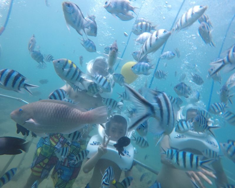 Cham Island: Underwater Walking & Snorkeling Tour - Key moments that make this tour special