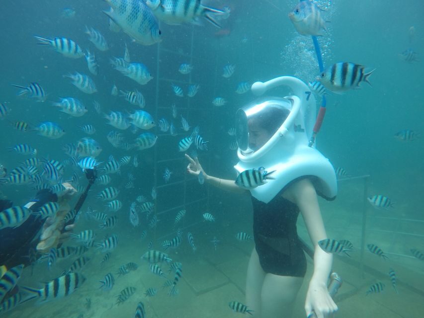 Cham Island: Underwater Walking & Snorkeling Tour - From Hoi An to the boat: the day’s basic flow