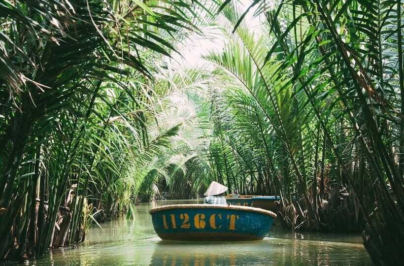 Coconut Basket Boat Ride in Hoi An - What’s included, what you’ll want to bring, and what the weather does