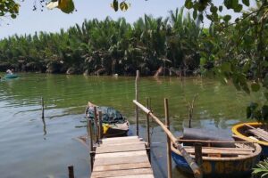 Coconut Basket Boat Trip - A Must - Do Experience in Hoi An! - Seven-Acre Coconut Forest and Nipa Forest: What You’ll Actually See