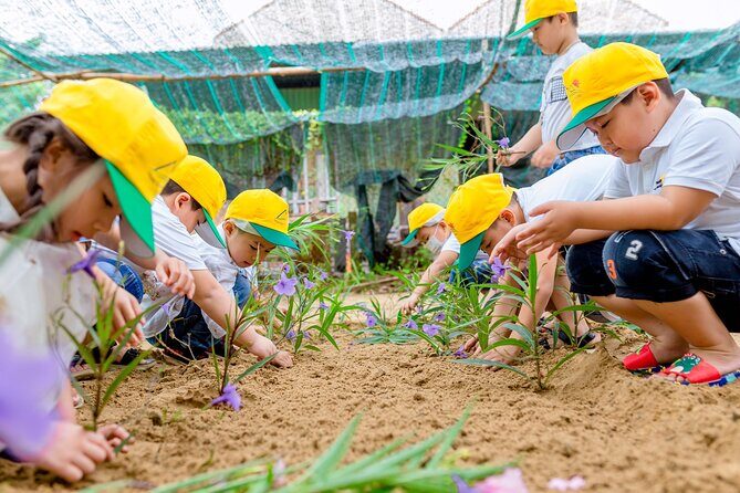 Cooking Class Hoi An - Organic Garden - Farming Tour-Handicrafts - Rice paper plus herbal drinks: the two hands-on moments people remember