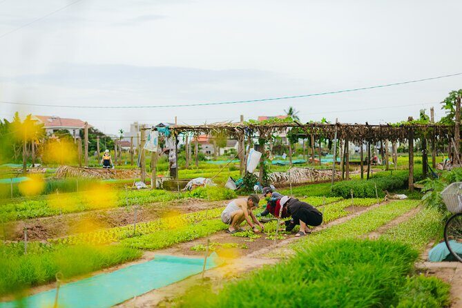 Countryside Adventure Private Tour by Electric Car - Local neighborhood with rice fields and temples: the quiet finale