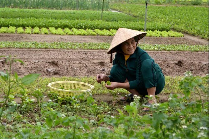 Countryside and Villages Tour By Motorbike - Stop 1: Hoi An Adventure—Get the Countryside Rhythm
