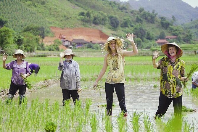 Countryside Bicycle Tour from Hoi An - All Inclusive - Price and logistics: where you meet and how to plan
