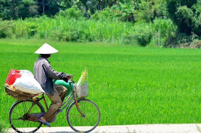 Countryside Bicycle Tour from Hoi An - All Inclusive - The countryside scenery you’ll actually see (rice, palms, river)