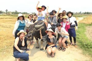 Cycling, Buffalo, Basket Boat ride in Hoi An - Coconut palm waterways and bamboo basket boat paddling