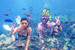 Da Nang/Hoi An: Cham Island Snorkeling, Sunbathing, Nice Beaches - Lang Beach orientation: marine protected area, Hai Tan Pagoda, and the fishing village