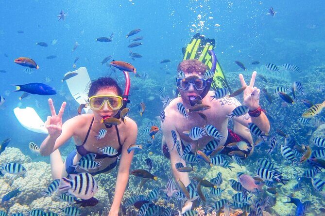 Da Nang/Hoi An: Cham Island Snorkeling, Sunbathing, Nice Beaches - Lang Beach orientation: marine protected area, Hai Tan Pagoda, and the fishing village