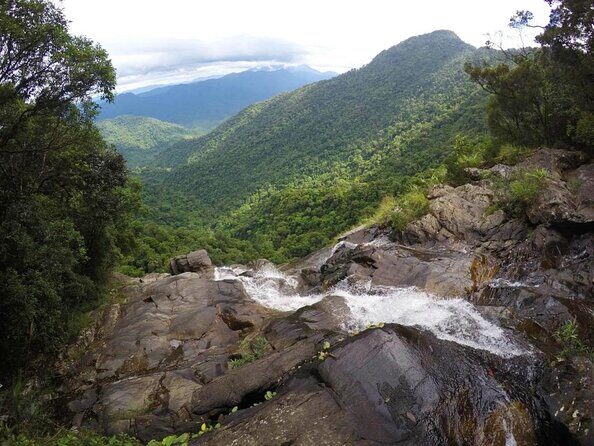 Full day: Hoi An - Bach Ma National Park - From Hoi An Toward the Cloudy-Coast Boundary: The Hai Van Start