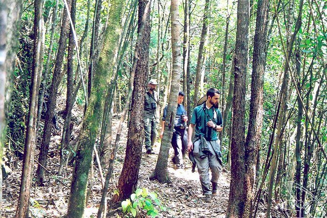 Full day: Hoi An - Bach Ma National Park - Fitness, Weather, and What to Pack for a Day That Can Feel Long