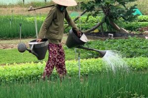 Full Experience Tour: Cooking Class & Basket Boat at Eco-Village - Welcome Drinks and the Hoang Family Touch