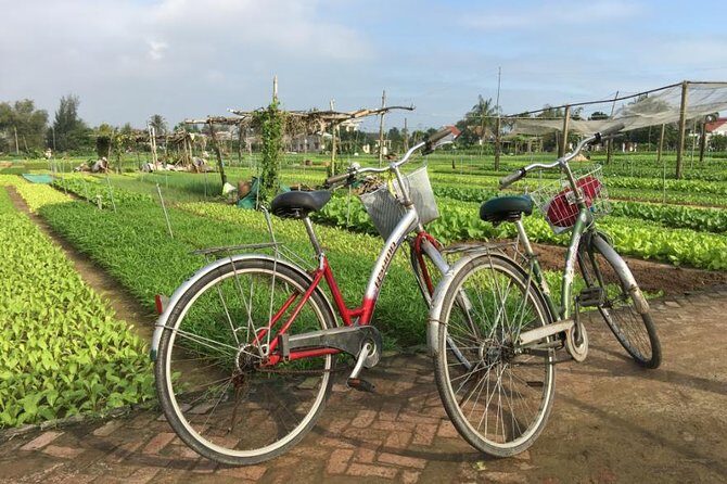 Half Day Cooking Class At Tra Que Vegetable Village Hoi An - Cycling to Ba Le Market: pick fresh ingredients and practice bargaining