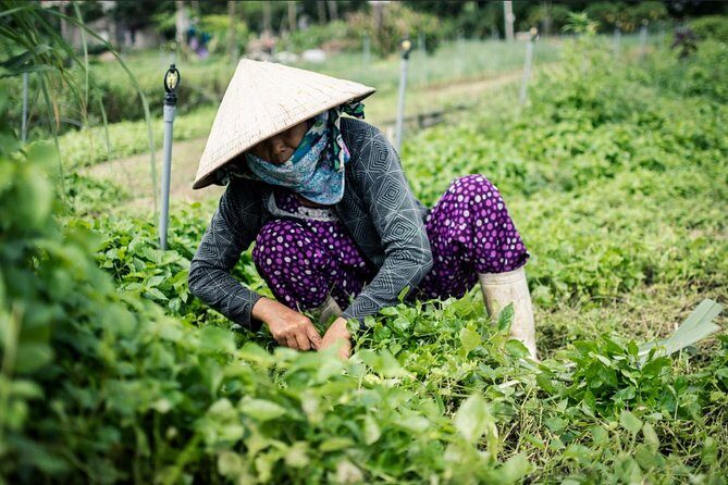 Half Day Cooking Class At Tra Que Vegetable Village Hoi An - Who should take this cooking class (and who might skip)