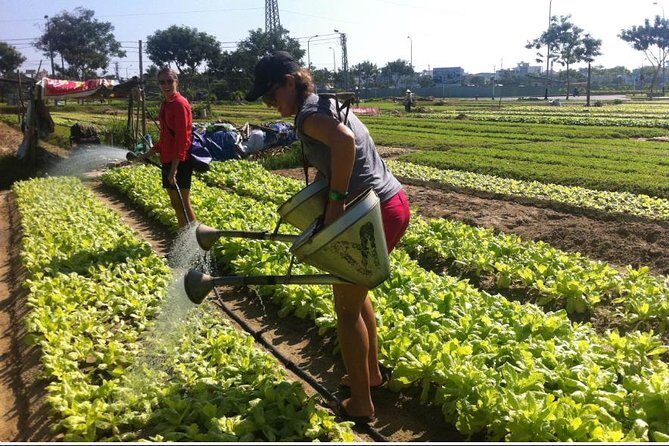 Half Day Cooking Class At Tra Que Vegetable Village Hoi An - Should you book the Tra Que half-day farm cooking class?