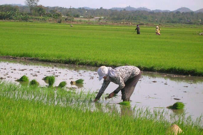 Half-Day Hoi An Countryside and Villages Tour by Bike - Start right: bike pickup and getting oriented around Hoi An