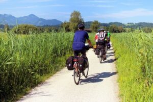Half-day Hoi An Countryside Bike Tour and Basket Boat with Lunch - Stop 1: Cam Kim Island and the kind of scenery you don’t see from town