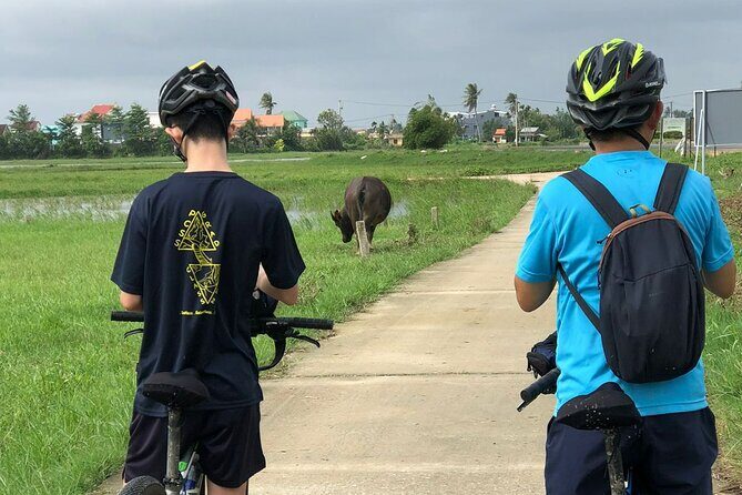 Half-day Hoi An Countryside Bike Tour and Basket Boat with Lunch - Stop 2: Cam Kim Bridge viewpoint over the Thu Bon River