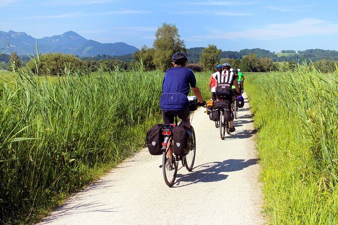 Half-day Hoi An Countryside Bike Tour and Basket Boat with Lunch - Stop 1: Cam Kim Island and the kind of scenery you don’t see from town