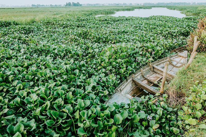 Half-day Hoi An Sunrise Or Sunset Photo Tour - Key things you’ll notice right away