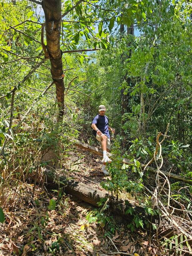 Hoi An: Amazing My Son Sanctuary and Mountain Trekking - What food looks like on a full day like this