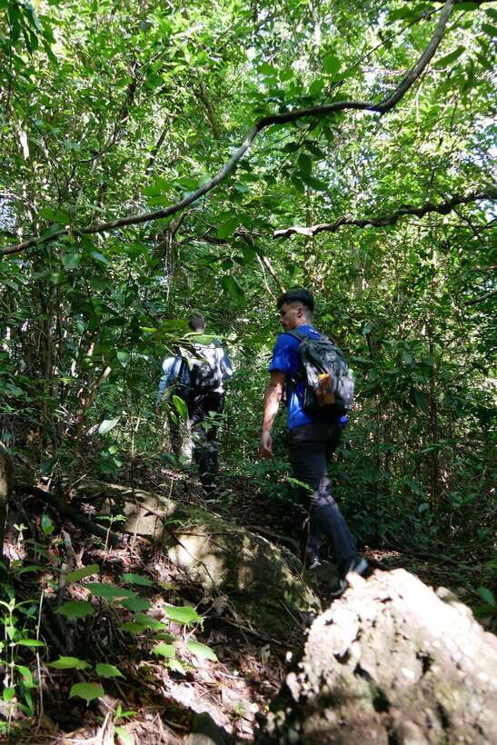 Hoi An: Amazing My Son Sanctuary and Mountain Trekking - Price and logistics: what you’re actually paying for