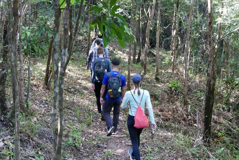 Hoi An: Amazing My Son Sanctuary and Mountain Trekking - Timing: when you’ll be back in Hoi An