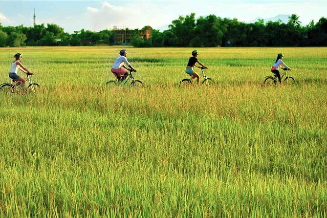 Hoi An Bicycle And Cooking Class Tour - Price and Value: Why This Costs About What You’d Expect for a Real Program