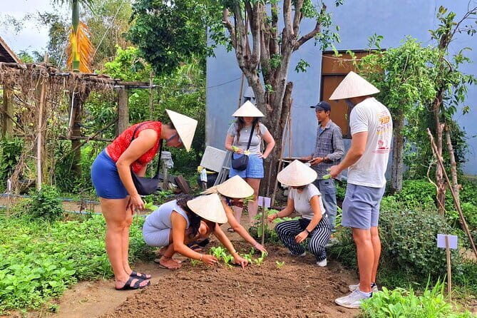 Hoi An Cooking Class & Vespa Cooking Adventure Tour - Your three dishes: what you’ll cook (and why they’re classics)