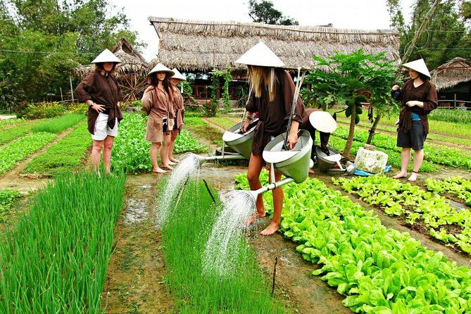Hoi An Countrylife Tour Experience & Vietnamese Set Menu - A countryside circuit you can actually feel