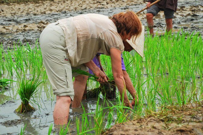 Hoi An Countrylife Tour Experience & Vietnamese Set Menu - What to pack (so the day stays fun)