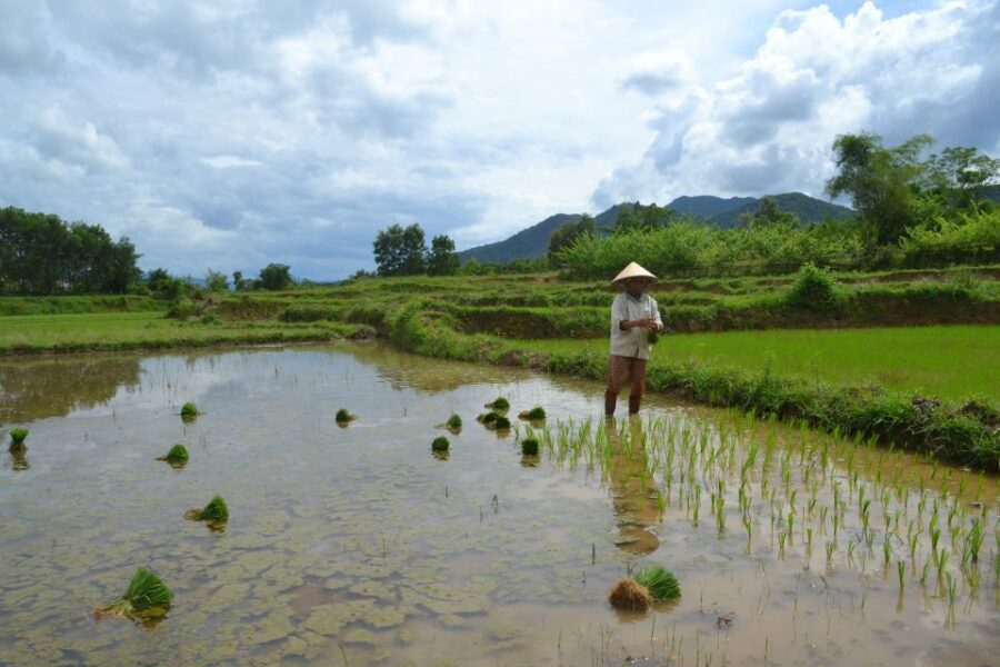 Hoi An Countryside Bicycle Tour : 25 Km Real Vietnam - Meeting at 61 Ngo Quyen St. and Rolling Out at 8:00