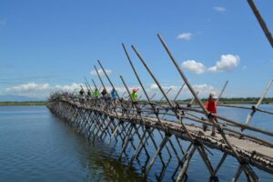 Hoi An Countryside Bicycle Tour : 25 Km Real Vietnam - 25 Km Loop Through Rice Paddies on Small, Safe Concrete Roads