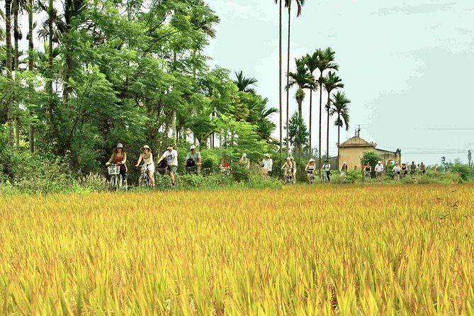Hoi An Countryside bike tour to Kim Bong village - Getting Started: 8:30am Meet-Up, No Hotel Transfer, and Mobile Ticket