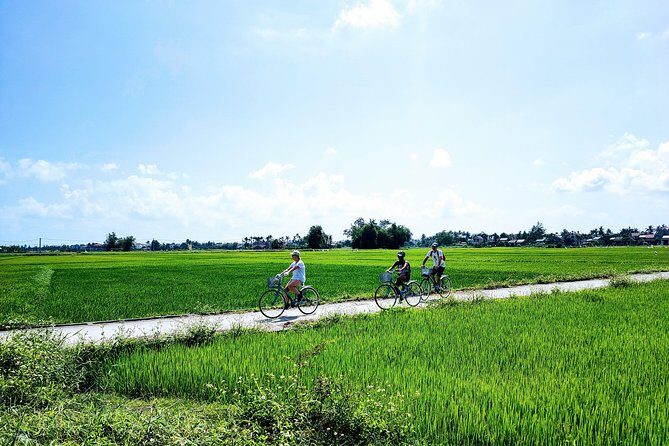 Hoi An Countryside Biking Tour(Vegetable village -basket boat - fishing village) - Should You Book This Hoi An Bike + Basket Boat Tour?