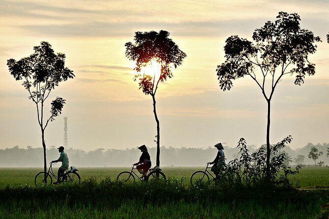 Hoi An Countryside By Bike - Bike Quality, Safety, and Guides Who Actually Explain Things