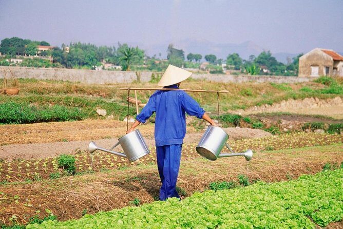 Hoi An countryside cycling tour - Key highlights you’ll care about