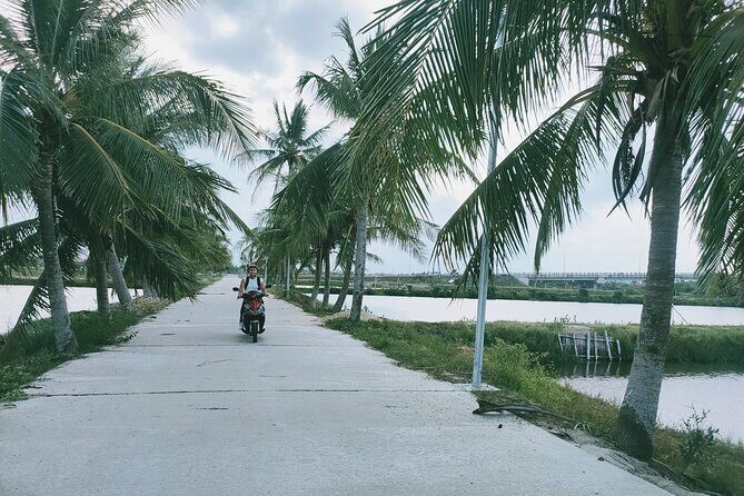 Hoi An Countryside Discovery Tour By Motorbike - Local food - Cam Thanh on the water: basket boat time and bamboo-boat purple crab fishing