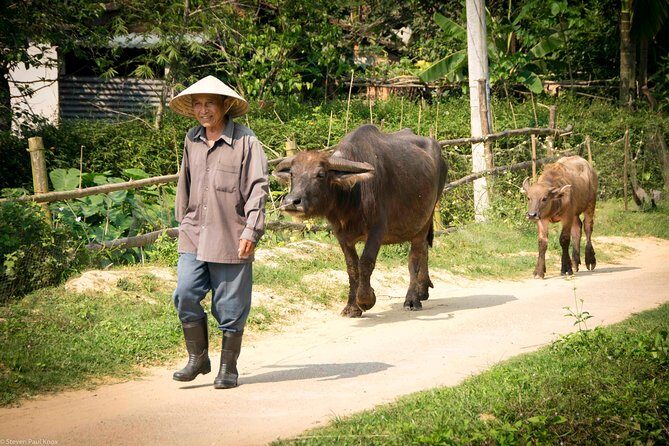HOI AN Countryside - River Islands - Old Crafts - Local Culture - Kim Bong Carpentry Village: Incense-making with a local family