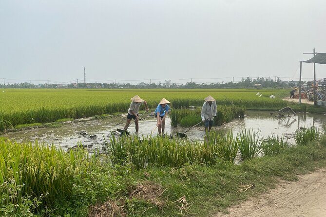Hoi An Countryside Vespa Tour: Food, Culture & Daily Life - Hands-on culture stops: pottery, weaving, rice wine, and woodcraft