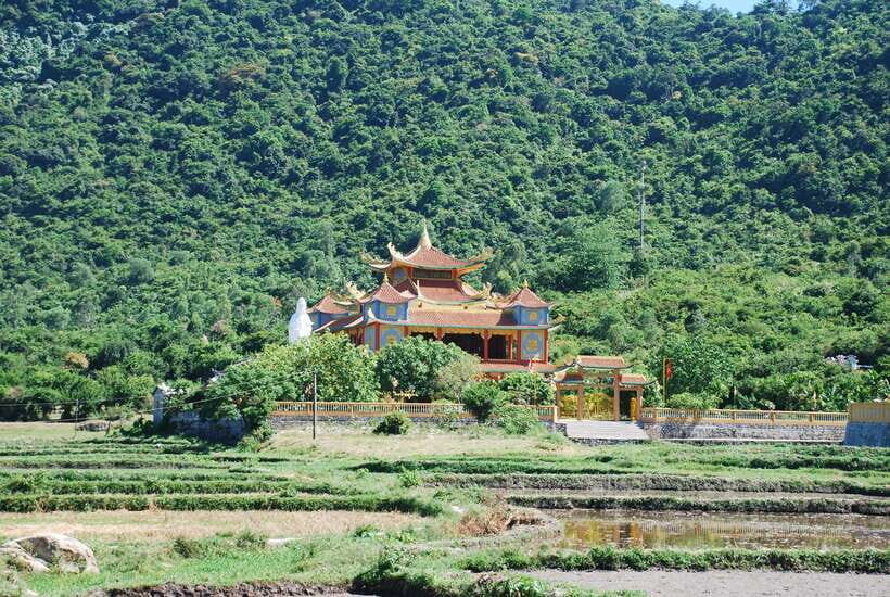 Hoi An/ Da Nang: Cham Island Discovery Tour - Cham Islands by speedboat: what the short journey buys you