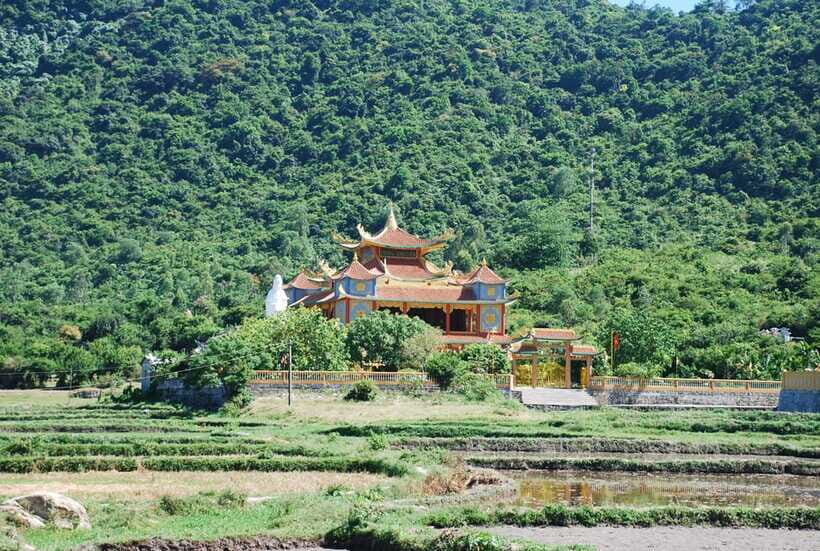 Hoi An/ Da Nang: Cham Island Discovery Tour - Should you book this Cham Island tour?